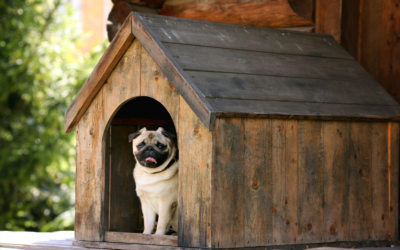 How To Prepare A Dog House For Winter So Fido Stays Warm