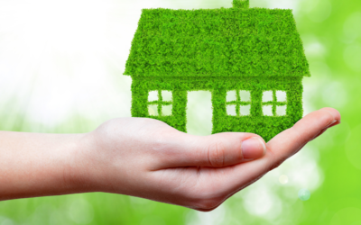Going Green Tips & Ideas For Living In A Dense Urban Area