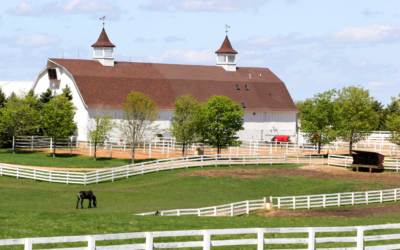 What Is The Definition Of A Ranch?