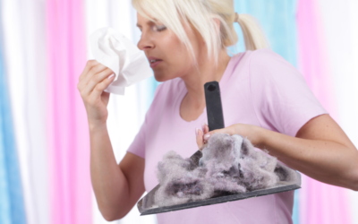 How To Deal With And Prevent Dust Mites At Home