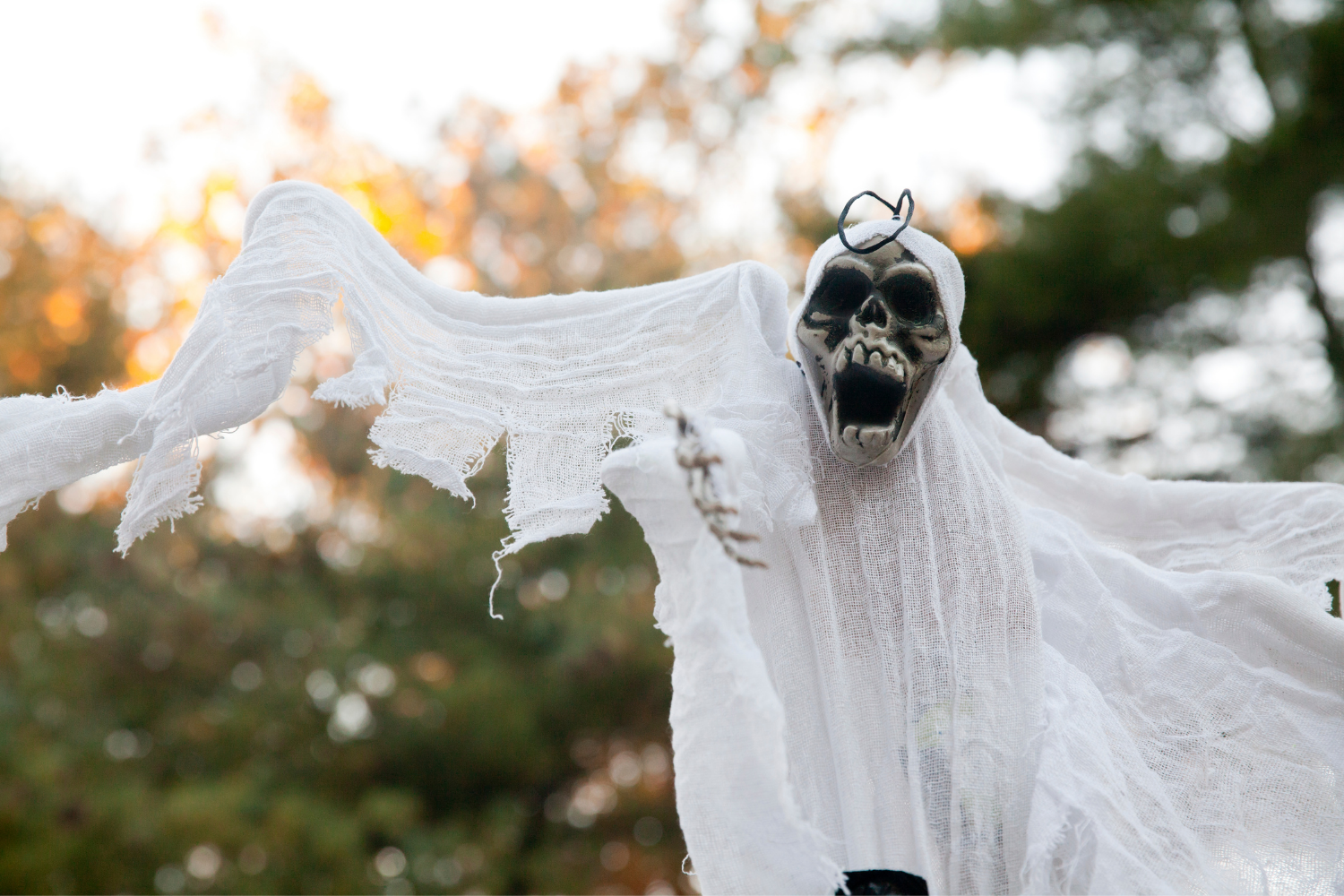 spooky ghost for halloween hanging in tree