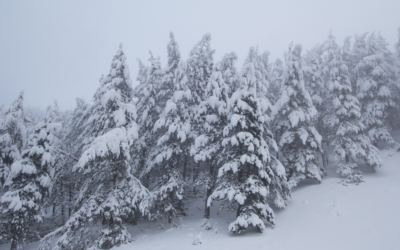 How To Prepare For Winter Storms