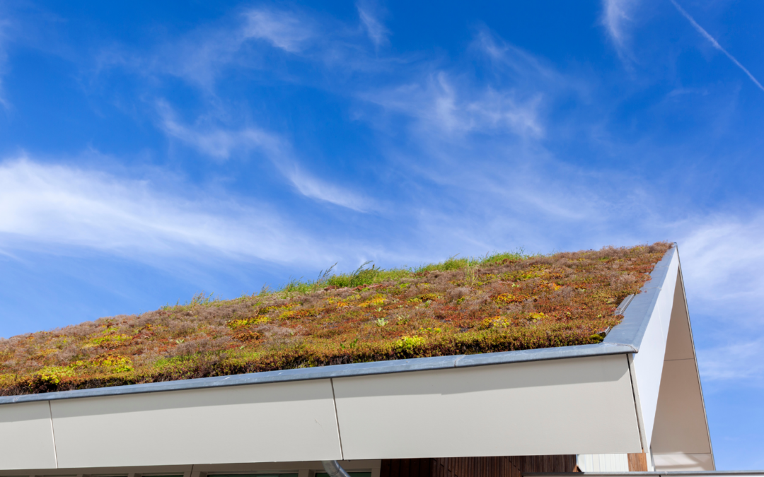 How Green Roofs Help The Environment