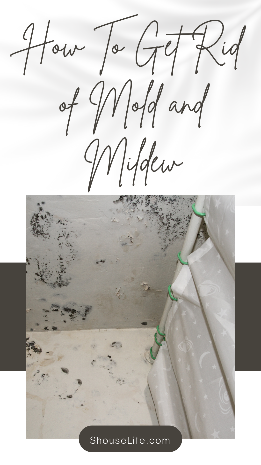 How To Get Rid of Mold and Mildew