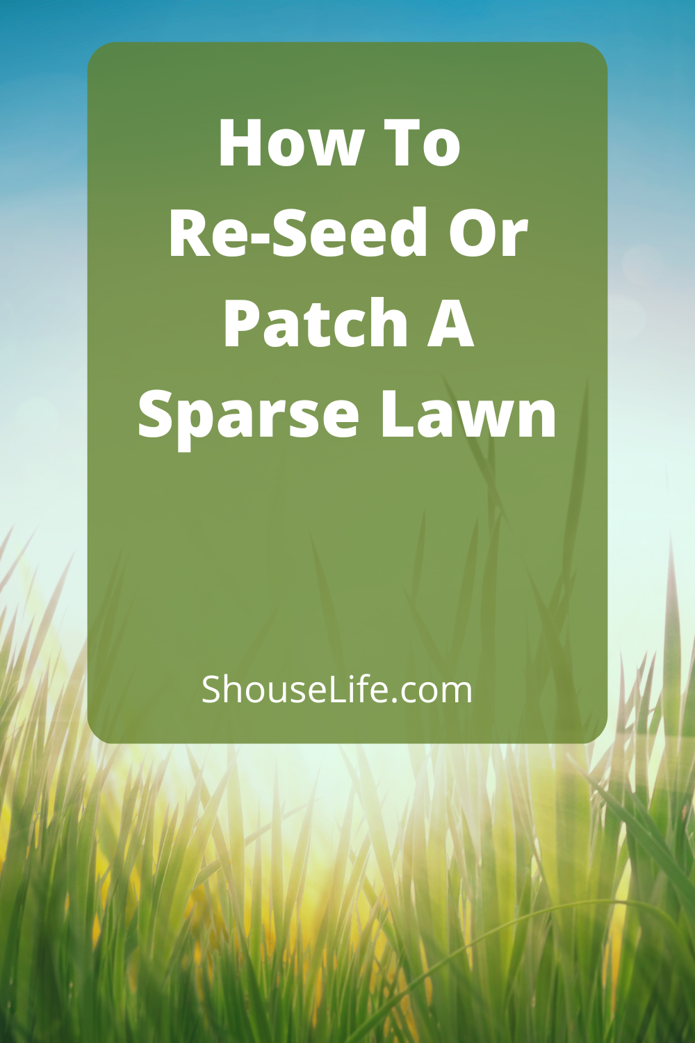 How To Re-Seed Or Patch A Sparse Lawn