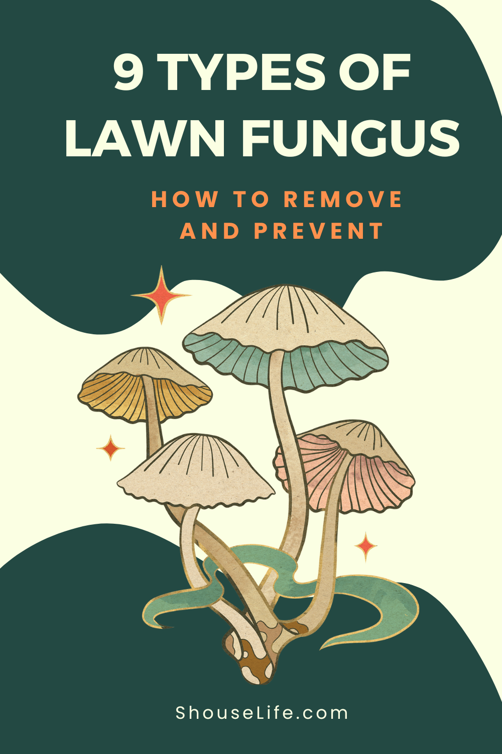 Types Of Lawn Fungus